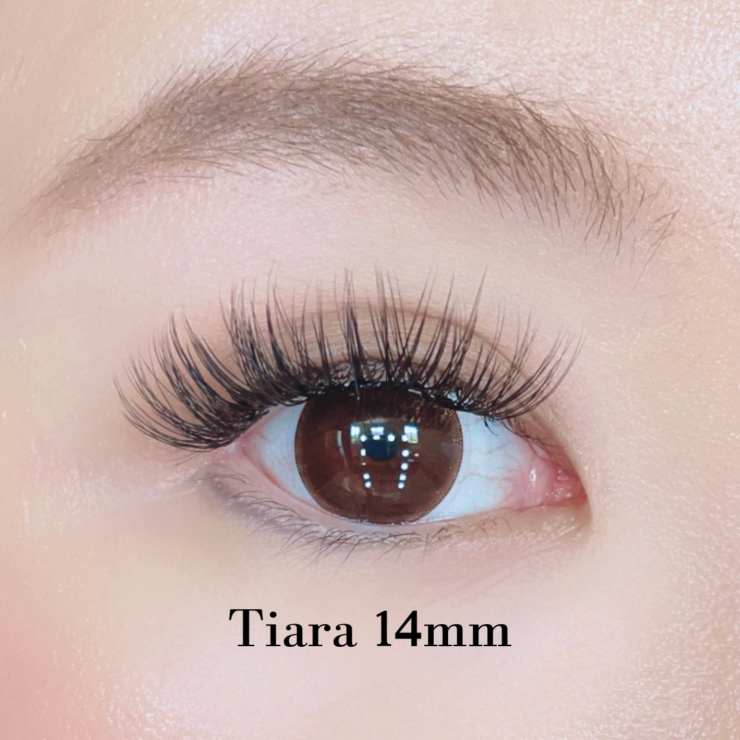 CLEARLASH - TIARA(まつげ単品)10束セット